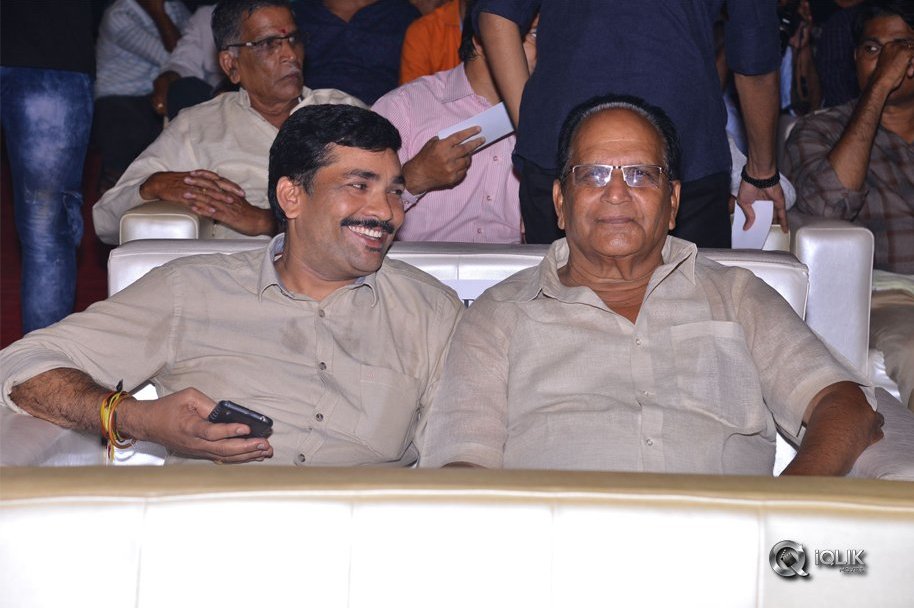 Geeta-Govindham-Pre-Release-Function-Photos